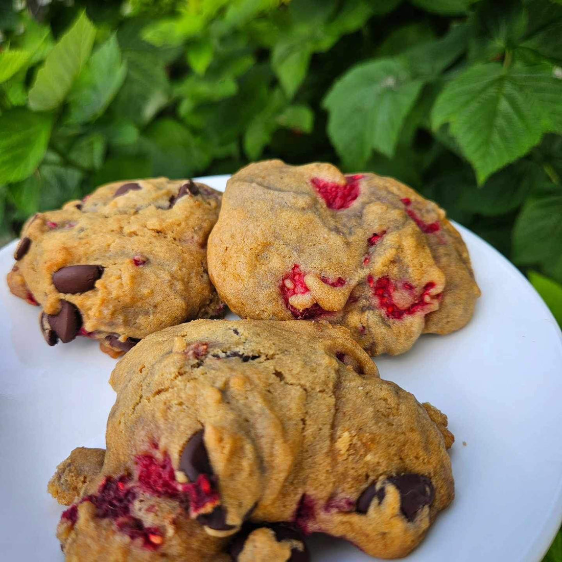 Raspberry Cookie Scones
