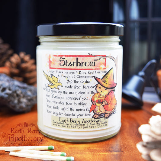 Simmer pot scented candle with berries and cinnamon