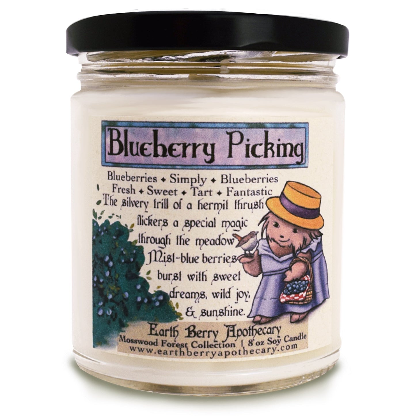 Blueberry Picking | Blueberry Soy Candle