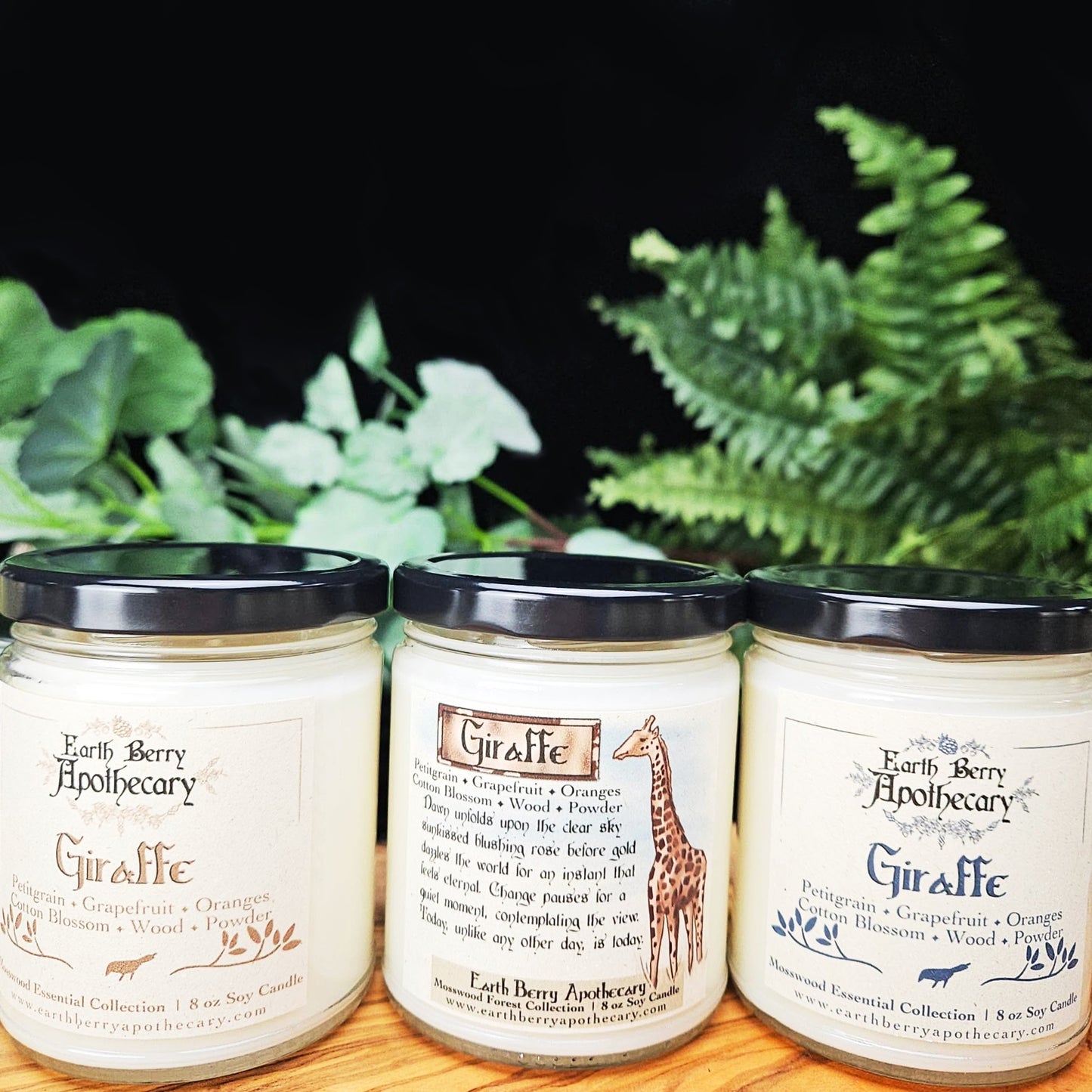 Zoo Candles
