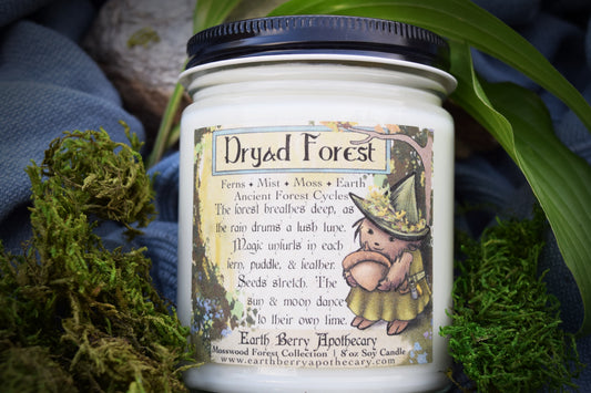Dryad forest scented soy candle. Mythology themed candle inspired by Ancient Greece and Rome. This candle smells like ferns and Forest mist.