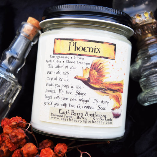 Spiced Cider & Pomegranate Soy Candle ✦ Phoenix