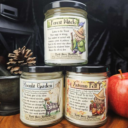 NEW Autumn Candles | Coconut Apricot Wax | Set of 3