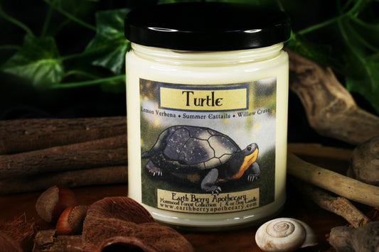 Turtle Soy Candle