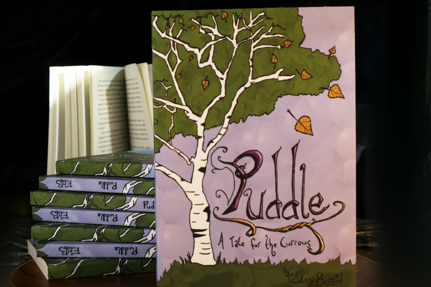 Puddle: A Tale for the Curious, by Elena Bozzi Ardagna